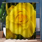 Yellow rose Shower Curtain 60  x 72  (Medium) 60 x72  Curtain