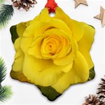 Yellow rose Ornament (Snowflake) Front