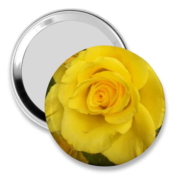 Yellow rose 3  Handbag Mirror