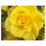Yellow rose Double Sided Flano Blanket (Medium) 60 x50  Blanket Back