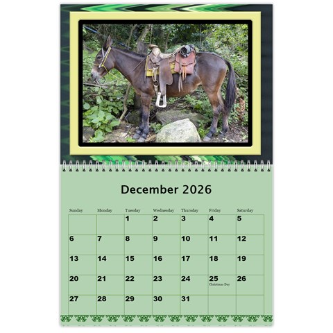 Shades Of Green 2026 Wall Calendar 11 X 8 5 (any Year) By Deborah Dec 2026