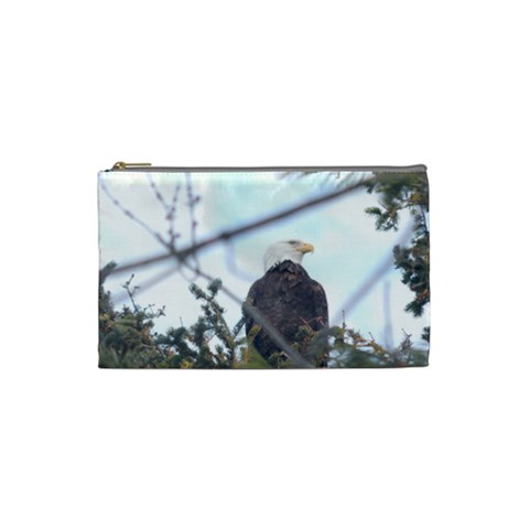 Eagle Osprey By Terry Front