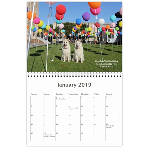 Wssdca Calendar 2019 Draft By Registrarwssdca Jan 2019