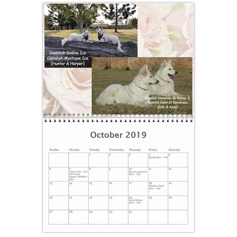 Wssdca Calendar 2019 Draft By Registrarwssdca Oct 2019