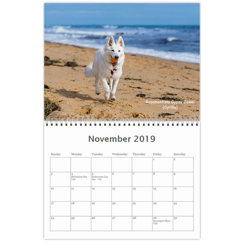 Wssdca Calendar 2019 Draft By Registrarwssdca Nov 2019
