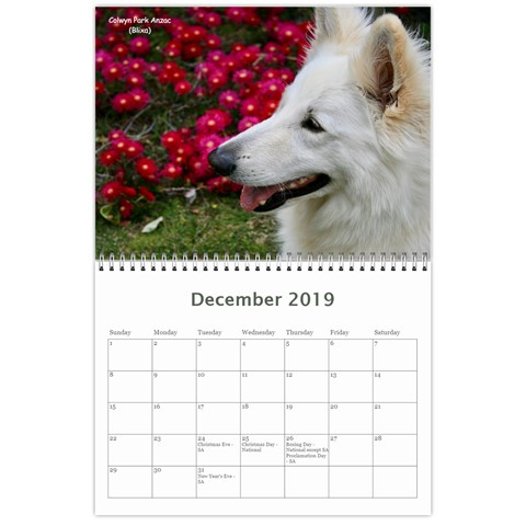 Wssdca Calendar 2019 Draft By Registrarwssdca Dec 2019
