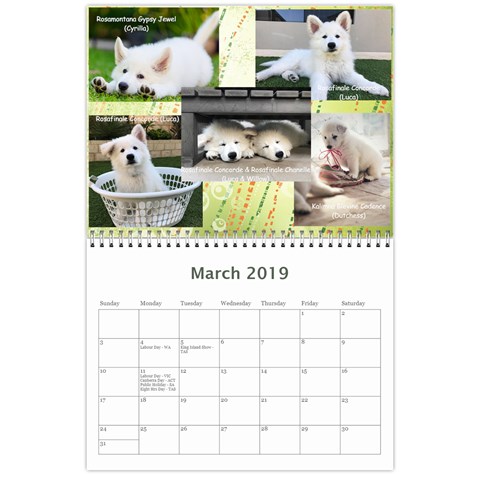Wssdca Calendar 2019 Draft By Registrarwssdca Mar 2019