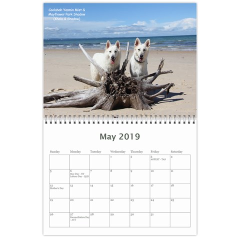 Wssdca Calendar 2019 Draft By Registrarwssdca May 2019