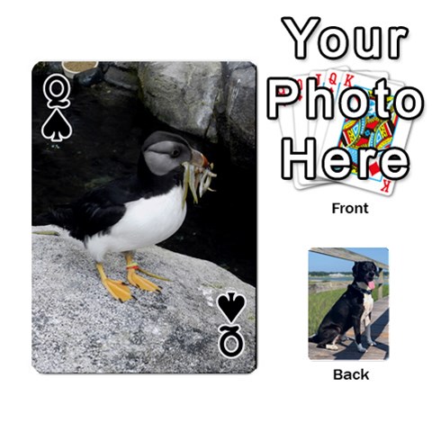 Queen Mels Cards By Robin Payne Front - SpadeQ