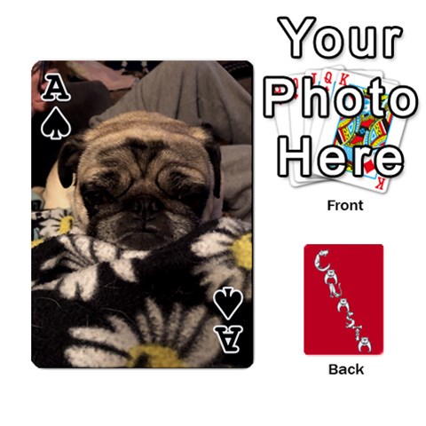 Ace Cansta Cards1 By Karen Van Front - SpadeA