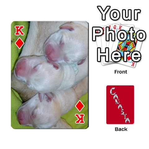 King Cansta Cards1 By Karen Van Front - DiamondK