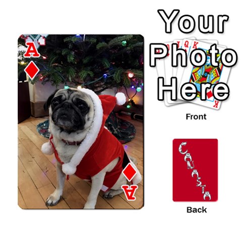 Ace Cansta Cards1 By Karen Van Front - DiamondA