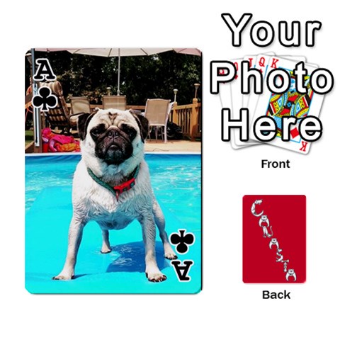 Ace Cansta Cards1 By Karen Van Front - ClubA