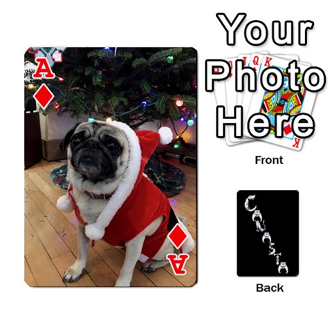 Ace Cansta Cards2 By Karen Van Front - DiamondA