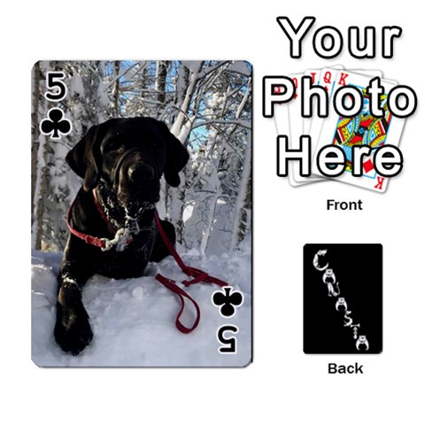 Cansta Cards2 By Karen Van Front - Club5