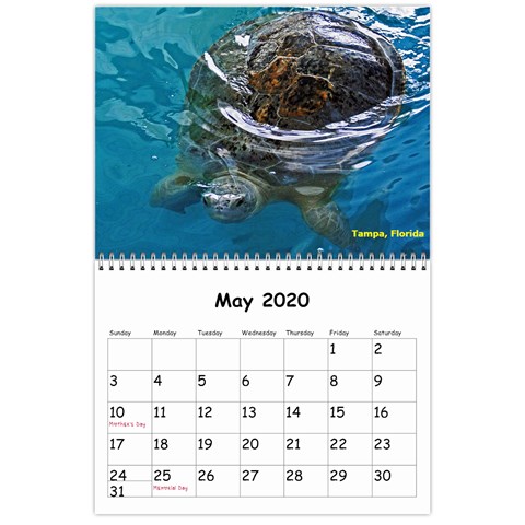 Austin 2020 May 2020