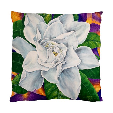 Decorator Pillow Back