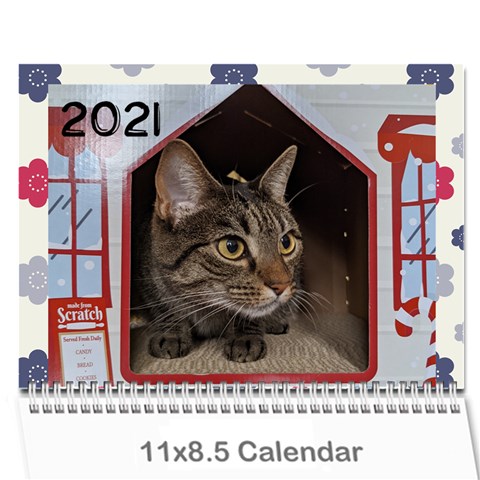 2021 Calendar By Dacian Reece Cover