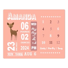 Personalized Baby Information Gift