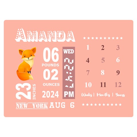 Personalized Baby Information Gift By Wanni 40 x30  Blanket Front