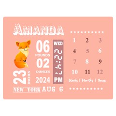 Personalized Baby Information Gift