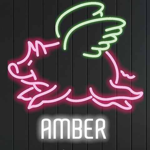 Personalized Flying Pig Name By Joe Front