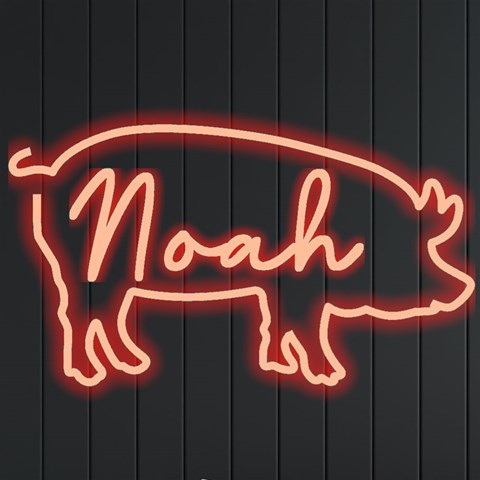 Personalized Pig Shape Name By Joe Front