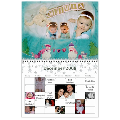 1 Year Calendar By Amanda Dec 2008