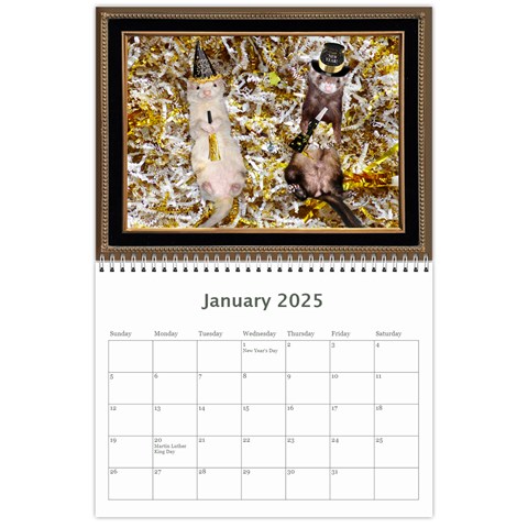 2025 Ferret Calendar By Tracy Pritchard Jan 2025