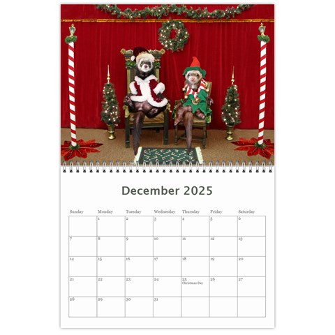 2025 Ferret Calendar By Tracy Pritchard Dec 2025