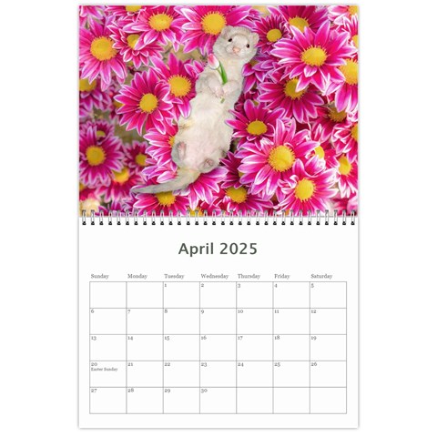 2025 Ferret Calendar By Tracy Pritchard Apr 2025