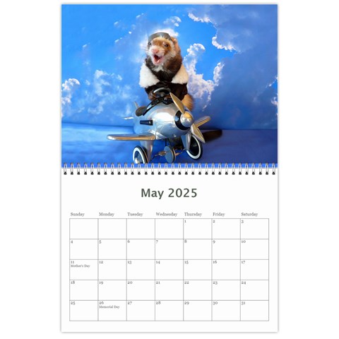 2025 Ferret Calendar By Tracy Pritchard May 2025