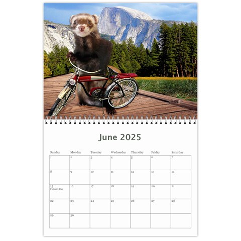 2025 Ferret Calendar By Tracy Pritchard Jun 2025