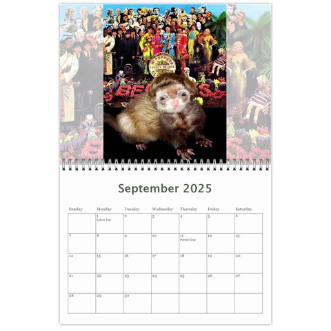 2025 Ferret Calendar By Tracy Pritchard Sep 2025