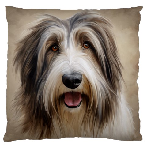 Bearded Collie Front