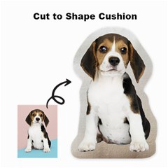 Cut to Shape Cushion 02 - Cut To Shape Cushion Case