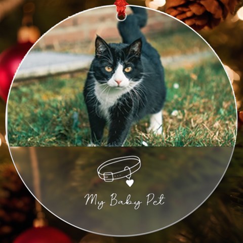 Personalized Name Photo Pets Uv Print Acrylic Ornament Round By Katy Front