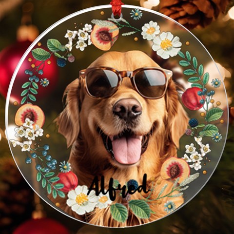 Personalized Photo Pet Face Cut Uv Print Acrylic Ornament By Katy Front