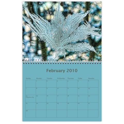 2010 Calender Landscapes By Kim Sullivan Feb 2010