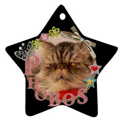 bobo-star tag - Ornament (Star)