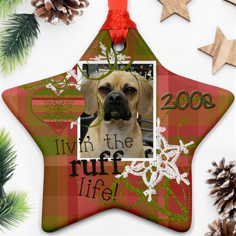 Sadie s Christmas Star 2009 By Maureen Bayless Front