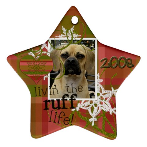 Sadie s Christmas Star 2009 By Maureen Bayless Front