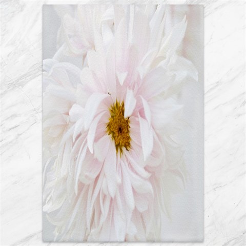 Canvas  chrysanthemum  By Elytza 11.88 x17.36  Canvas - 1
