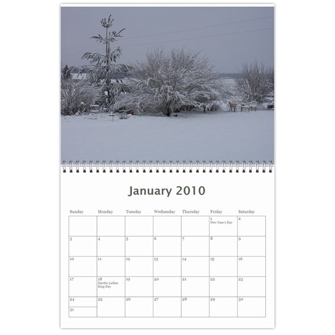 Calendar By Dawn Long Jan 2010