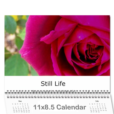 2010 Calendar By Bob Standifer Cover