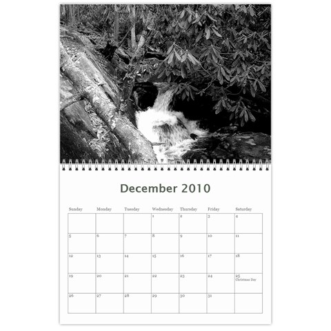 2010 Calendar By Bob Standifer Dec 2010