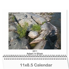 2011 12 months - Wall Calendar 11  x 8.5  (12-Months)