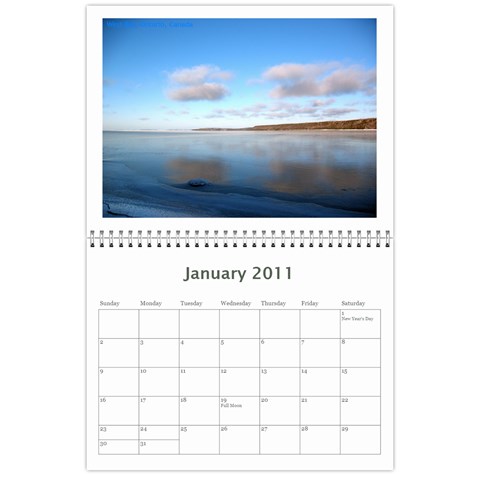 2011 12 Months By Cure Jan 2011