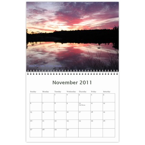 2011 12 Months By Cure Nov 2011