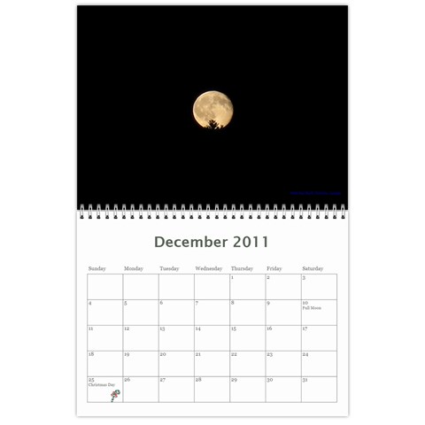 2011 12 Months By Cure Dec 2011